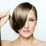 وصفات للشعر