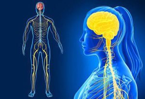 ما هي علامات اختلال الجهاز العصبي..وكيفية علاجها ؟