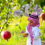 رمان الباحة