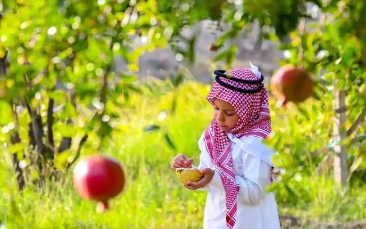 رمان الباحة
