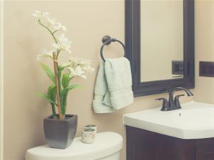 وضع النباتات في الحمام