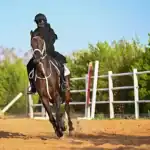 الفارسات السعوديات يحققن إنجازات لافتة في رياضة الفروسية ضمن رؤية المملكة 2030