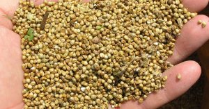 10 أطعمة تعزز الجسم وتقوي جهاز المناعة في الشتاء..أحرصي عليها