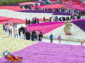 مهرجان الزهور والحدائق بينبع الصناعية2025.. لوحة فنية تتجدد كل عام