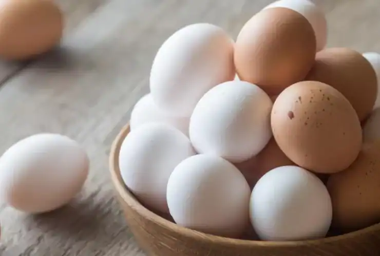 فوائد البيض وكيفية معرفة إذا كان البيض طازج أم لا؟