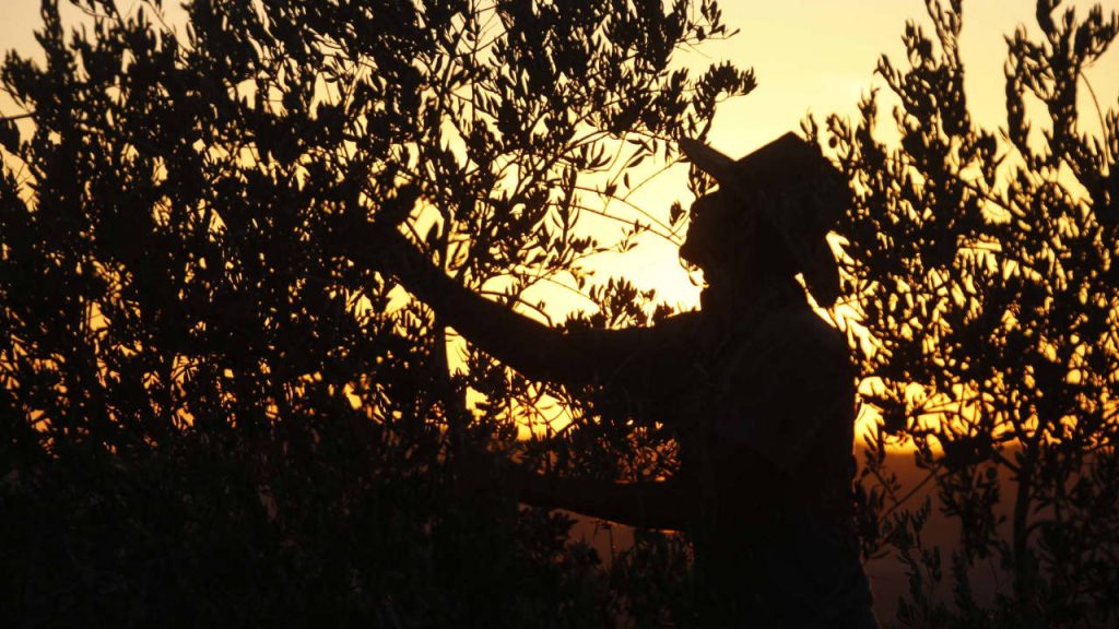 هل تريد أن تكون أكثر سعادة؟ إليك 5 عادات عليك اتباعها