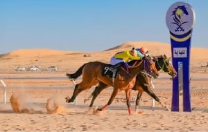 87 جوادًا تتنافس في الحفل العاشر لسباقات الخيل بالمدينة المنورة غدًا