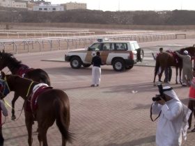 سباقات حماسية تنتظر عشاق الفروسية في المدينة المنورة
