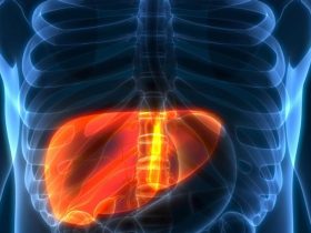 دعم الكبد بالأعشاب.. تحليل لتأثير الثوم والزنجبيل والكركم في مواجهة أمراض الكبد المزمنة