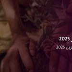 "بيئتنا كنز 2025" نجران تستضيف أسبوعًا حافلًا بالتوعية البيئية والمبادرات المستدامة