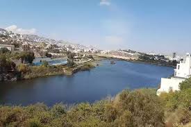 سد أبها