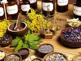 علاجات الزهور: طاقة الطبيعة في خدمة توازنك النفسي والعاطفي