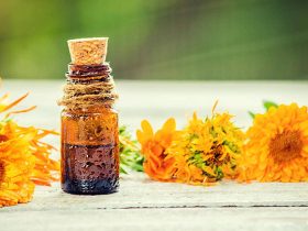 "عشبة البرامي" للتخلص من الأرق أو إرهاق الدماغ