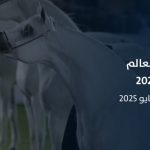 مهرجان بطولة العالم لخيل الجزيرة 2025: لكل عشاق الخيل العربية الأصيلة في قلب الرياض