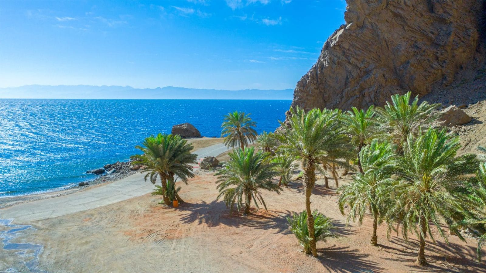 كنوز المملكة الخضراء.. رحلة في التنوع البيولوجي الفريد وجهود حمايته
