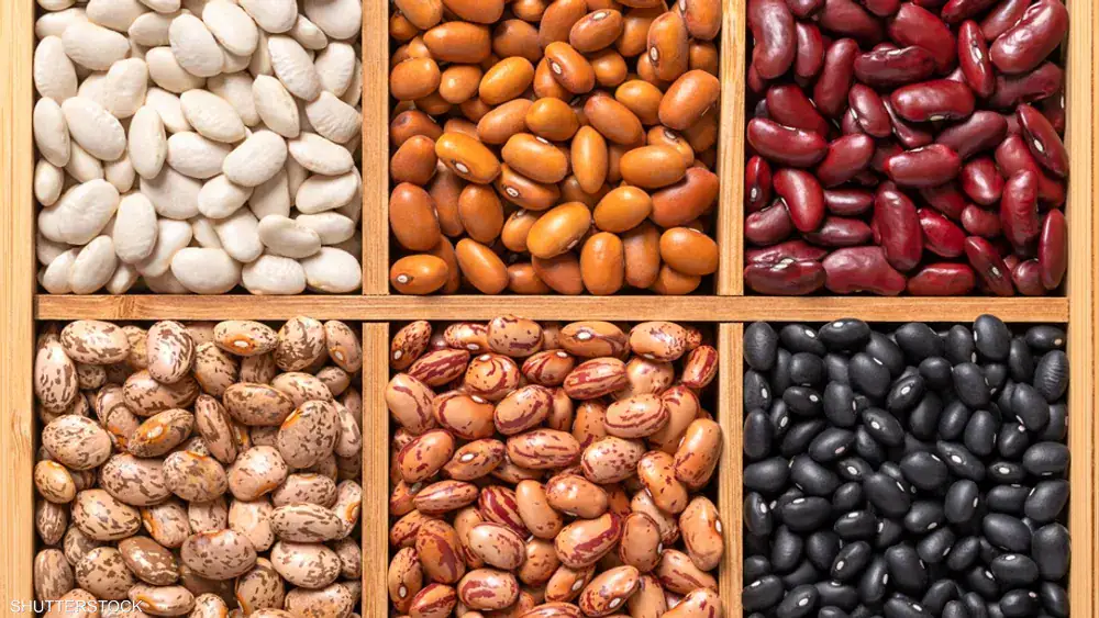 دراسة حديثة تكشف فوائد يومية للفاصولياء في دعم صحة القلب