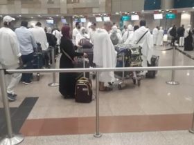 وصول جميع حجاج السياحة المصريين إلى المملكة بنجاح لأداء مناسك الحج