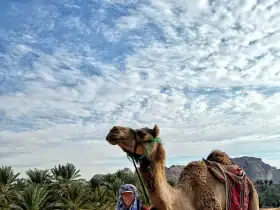أليس موريسون.. أول امرأة تمشي عرض السعودية وتوثق حكاياها القديمة وحديثها النسائي