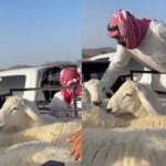 عيد الأضحى: نظافة البيئة بعد الذبح