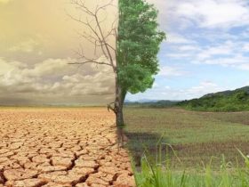 اليوم العالمي لمكافحة التصحر والجفاف 2025: دعوة عالمية لحماية الأرض والإنسان