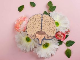 في اليوم العالمي للدماغ: ماذا يحدث لعقلك إذا لم تنم جيدًا لمدة أسبوع؟