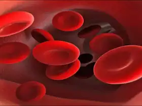 أضرار نقص عنصر الحديد في الجسم.. إليكِ أبرز مصادر الحصول عليه