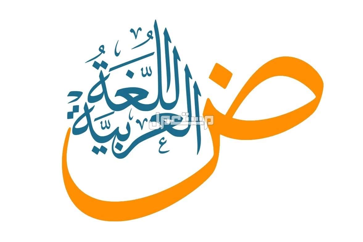 لغة الشوارع: خريطة الهوية الثقافية في المدن الحضرية