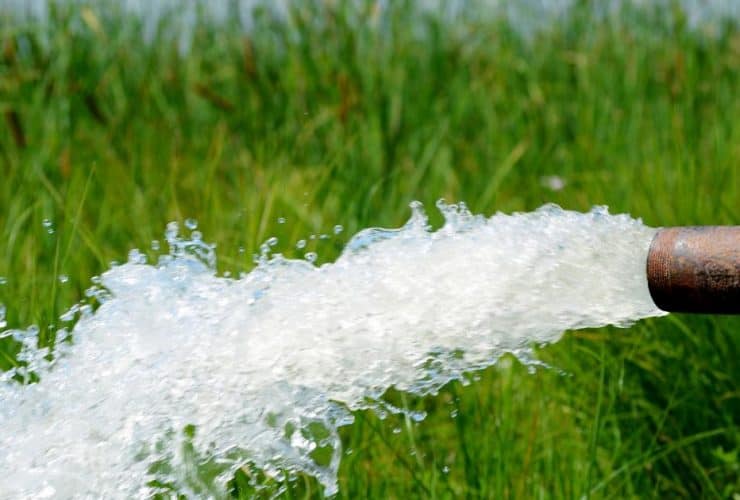 الأمن المائي والغذائي في السعودية: رؤية طموحة نحو الاستدامة