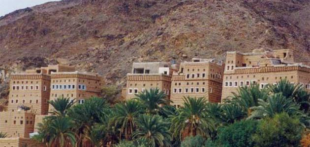 منطقة الجوف "سكاكا": مزيج من عبق التاريخ وخصوبة الحاضر