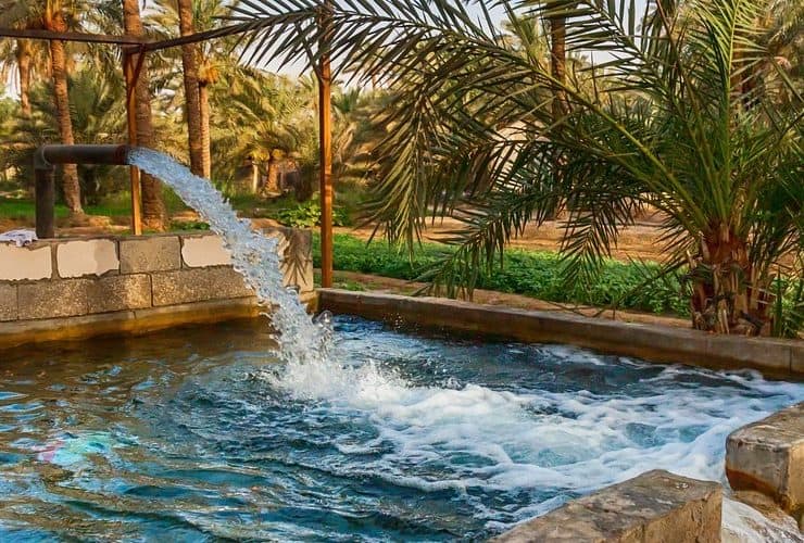 واحة الأحساء.. جنة خضراء في قلب الصحراء الشرقية