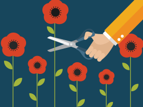 متلازمة الزهرة الطويلة.. عندما يتحول النجاح إلى جريمة اجتماعية