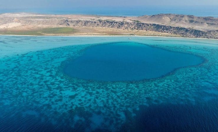 الليث والقنفذة.. جواهر البحر الأحمر وموطن أجمل الشعاب المرجانية