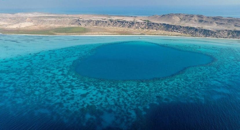 الليث والقنفذة.. جواهر البحر الأحمر وموطن أجمل الشعاب المرجانية