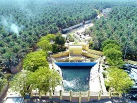 عيون الأحساء: طيبٌ من الماضي، وموعد مع المستقبل