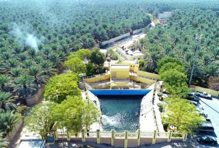 عيون الأحساء: طيبٌ من الماضي، وموعد مع المستقبل