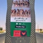 مزاد مدرج للإبل يعود بنسخته الثامنة.. إرث الماضي ودعم المستقبل