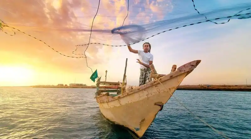 مهنة الصيد على السواحل السعودية.. حكاية البحر ورزق الصيادين