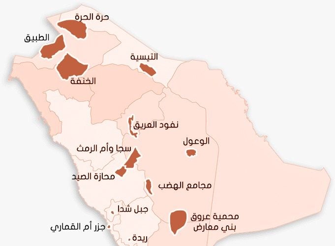 كنوز الطبيعة: دليل شامل لأبرز المحميات الطبيعية في المملكة العربية السعودية
