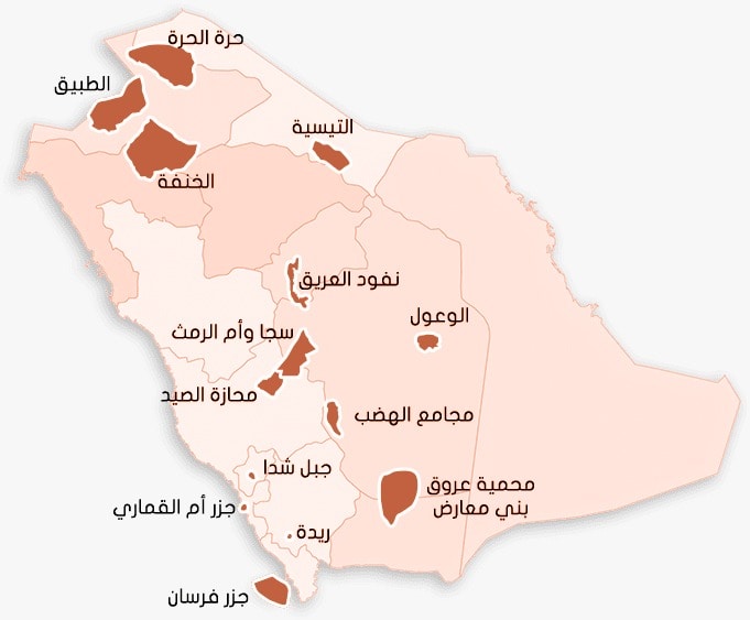 كنوز الطبيعة: دليل شامل لأبرز المحميات الطبيعية في المملكة العربية السعودية