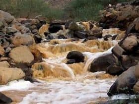 وادي فاطمة الجموم.. رحلة في قلب التاريخ والطبيعة