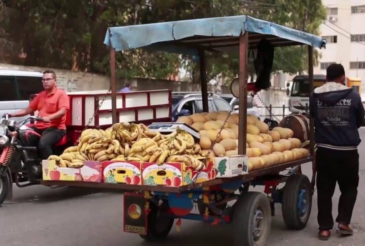 الباعة الجائلون.. صمود تقليدي في وجه تحديات التسويق الرقمي
