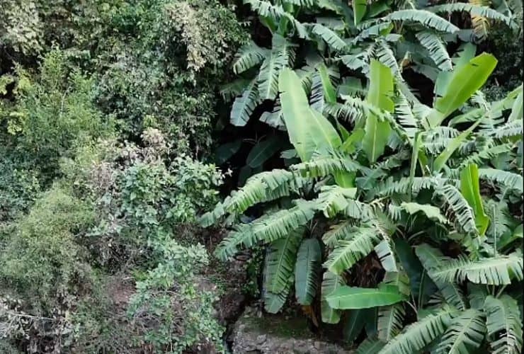 كهوف مزرعة الكامدي المائية.. لوحات فنية تروي قصص الأجيال