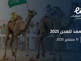 مهرجان ولي العهد للهجن 2025: احتفاء بالتراث وسباق على المجد