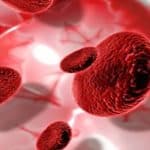 سبتمبر شهر التوعية بسرطان الدم: دعوة للتبرع والتعرف على المرض