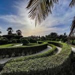 الحديقة النباتية الملك عبد الله.. متحف أخضر يجسد رؤية المملكة في الاستدامة البيئية