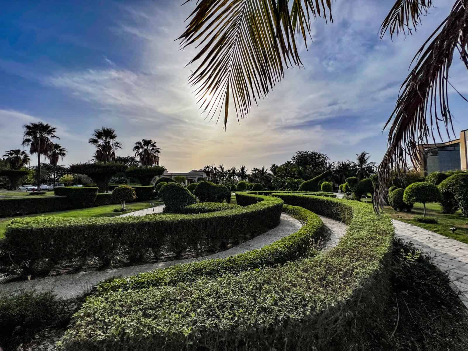 الحديقة النباتية الملك عبد الله.. متحف أخضر يجسد رؤية المملكة في الاستدامة البيئية