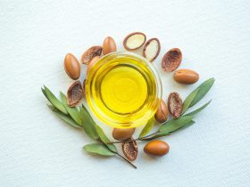 شجرة الأرجان..كنز المغرب الأخضر وذهبها السائل
