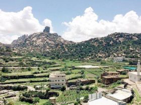 ميسان الطائف.. عروس الجبال وشريان السياحة في مكة المكرمة