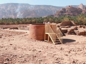 محلب الناقة في العلا.. رحلة إلى قلب التراث العربي الأصيل