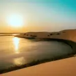 اكتشف «بحيرة الأصفر» موطن الطبيعة والطيور في قلب الأحساء